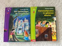 Lesestar cbj Die Geisterjäger + Kleinstadtpiraten Kinderbuch Schleswig-Holstein - Delingsdorf Vorschau