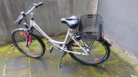 Fahrrad von Pegasus 26 Zoll, 7 Gänge, Top Zustand Köln - Nippes Vorschau