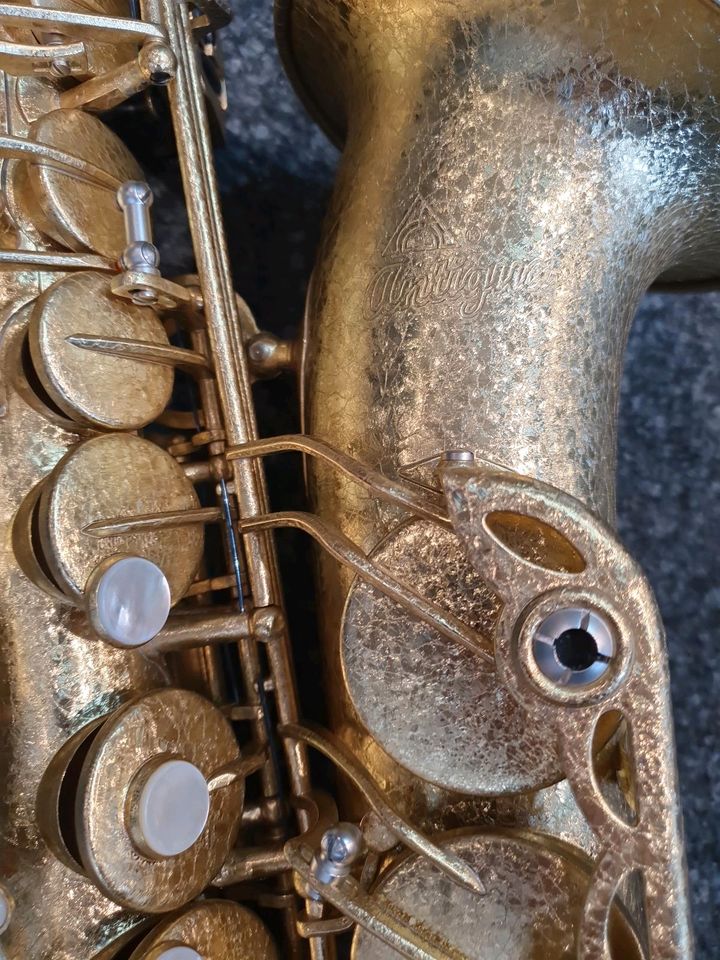 Saxophon Antigua Altsaxophon 4248 Splended Finish in Hannover