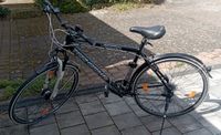Fahrrad zu Verkaufen Rheinland-Pfalz - Nack Vorschau