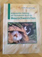 Artgerechte Haltung ein Grundrecht auch für Meerschweinchen  Buch Nordrhein-Westfalen - Lemgo Vorschau