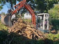 Baumfällung Rodung Heckenpflege Bayern - Auerbach in der Oberpfalz Vorschau