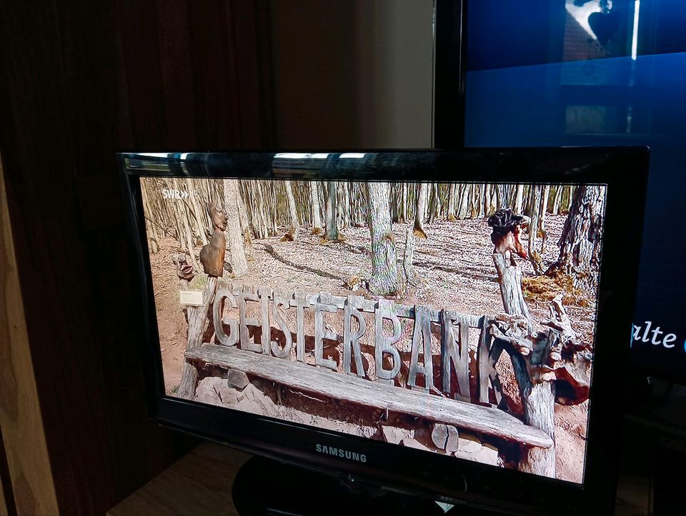 Samsung TV 19" HDMI Out, wenig benutzt! Camping? in Lüdinghausen