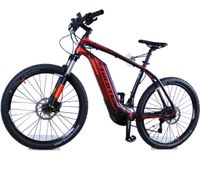 Wandhalterung e-bike Fahrrad  aus Acrylglas bis 40kg Baden-Württemberg - Weingarten Vorschau