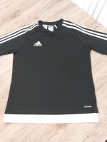 Adidas Trainingsshirt Gr.164 Saarland - Saarwellingen Vorschau