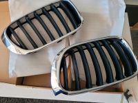 Bmw X3 F25 X4 F26 Nieren Grill original Nordrhein-Westfalen - Lünen Vorschau