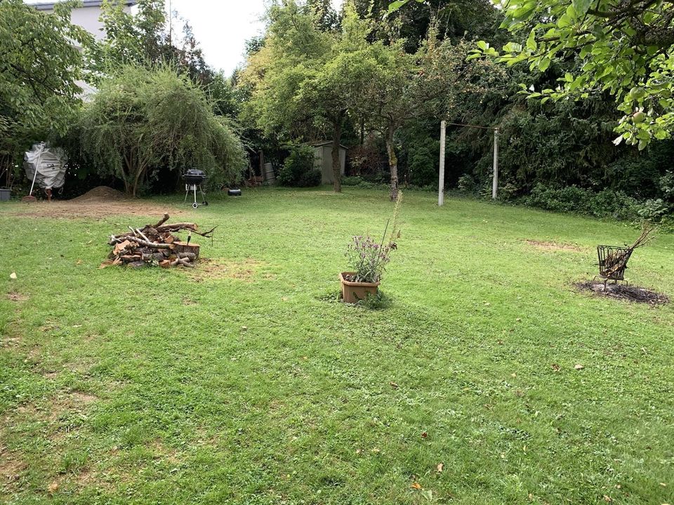 Top Lage, Baugrundstück für TinyHouse, Modulhaus, grün, Höhenlage in Bad Neuenahr-Ahrweiler