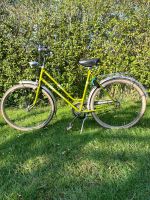 Damen Fahrrad 26 Zoll Rheinland-Pfalz - Roth b Hamm Vorschau