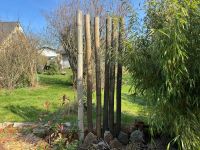35x Bambusrohre 200 130 Bambuszaun Stange Stab Deko Garten Zaun Rheinland-Pfalz - Wallhausen Vorschau