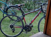 Fahrrad Alpina Eco C20 gesucht, *gestohlen am 17.02/Handeloh Niedersachsen - Welle Vorschau