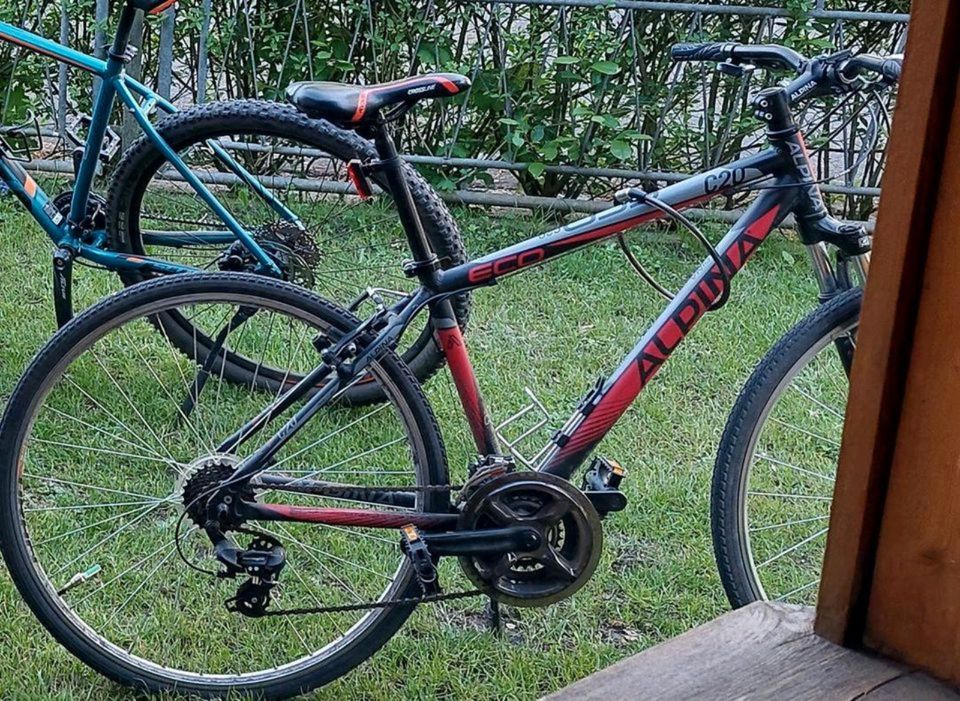 Fahrrad Alpina Eco C20 gesucht, *gestohlen am 17.02/Handeloh in Welle