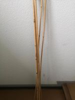 10 bambuspflanzstäbe Berlin - Marzahn Vorschau