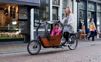 Babboe City Mountain E-Bike Lastenrad Bakfiets sofort Lieferbar Nordrhein-Westfalen - Goch Vorschau