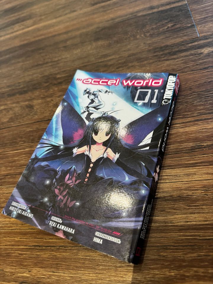 Accel World Band 1 Manga in Selters