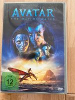 Avatar the Way of Water NEU DVD Hessen - Wiesbaden Vorschau