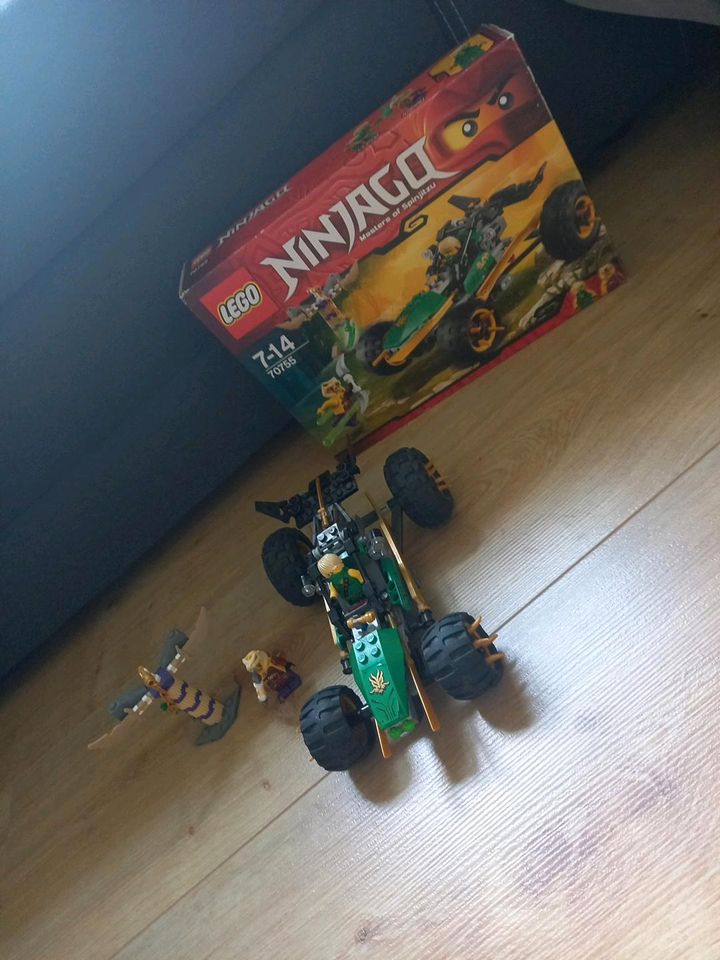 Lego Ninjago 70755 Lloyds Dschungelräuber in Bayern - Ingolstadt | Lego &  Duplo günstig kaufen, gebraucht oder neu | eBay Kleinanzeigen ist jetzt  Kleinanzeigen