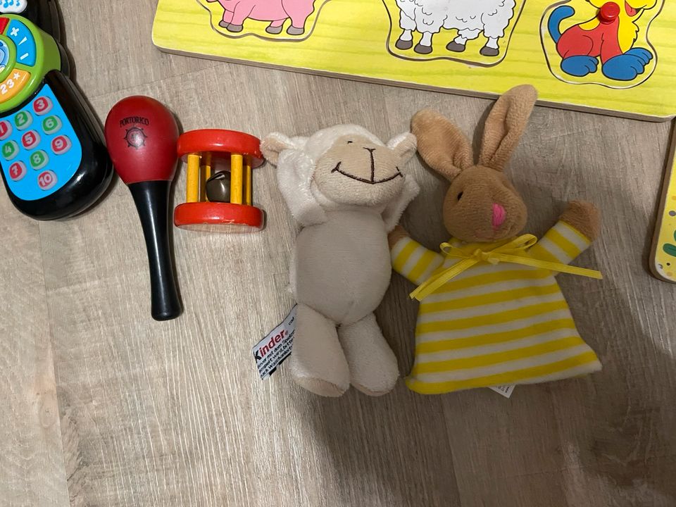 Baby / Kleinkind Spielzeug Paket in Sulzfeld