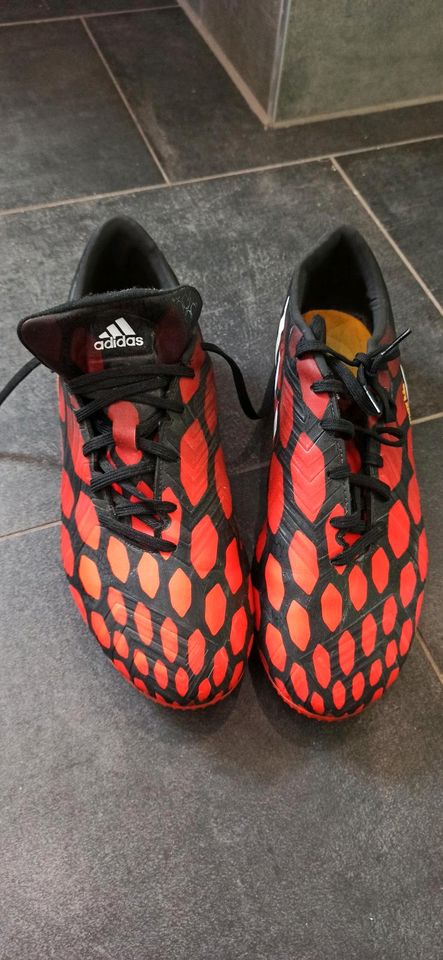 Adidas Fußballschuhe Absolado in Ludwigslust