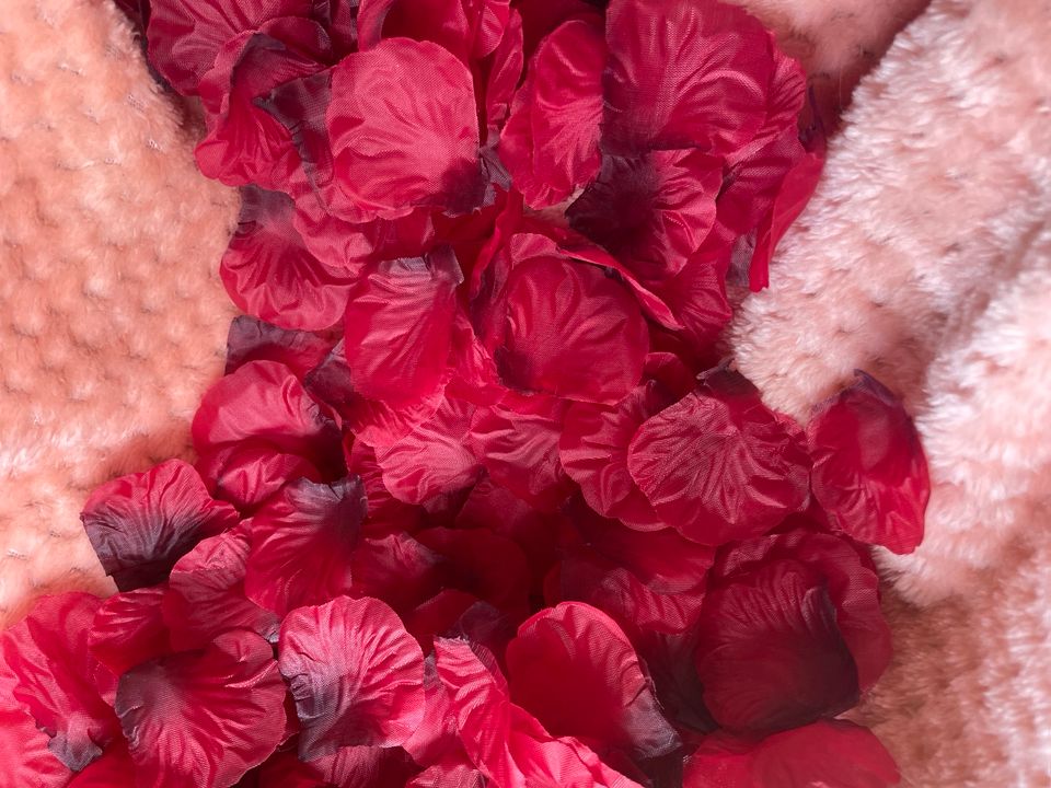 Rosenblüten , Seidenblüten, Hochzeit/Hochzeitstag, Romantik, Date in Schongau