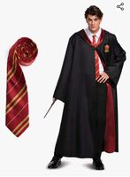 Umhang Harry Potter Gryffindor Größe L Baden-Württemberg - Tettnang Vorschau