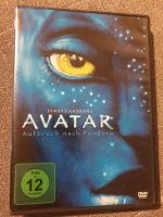 Avatar Aufbruch nach Pandora dvd Niedersachsen - Belm Vorschau