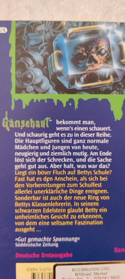 Gänsehaut Kinder Taschenbuch Serie von R.L. Stine 10+ in Grenzach-Wyhlen