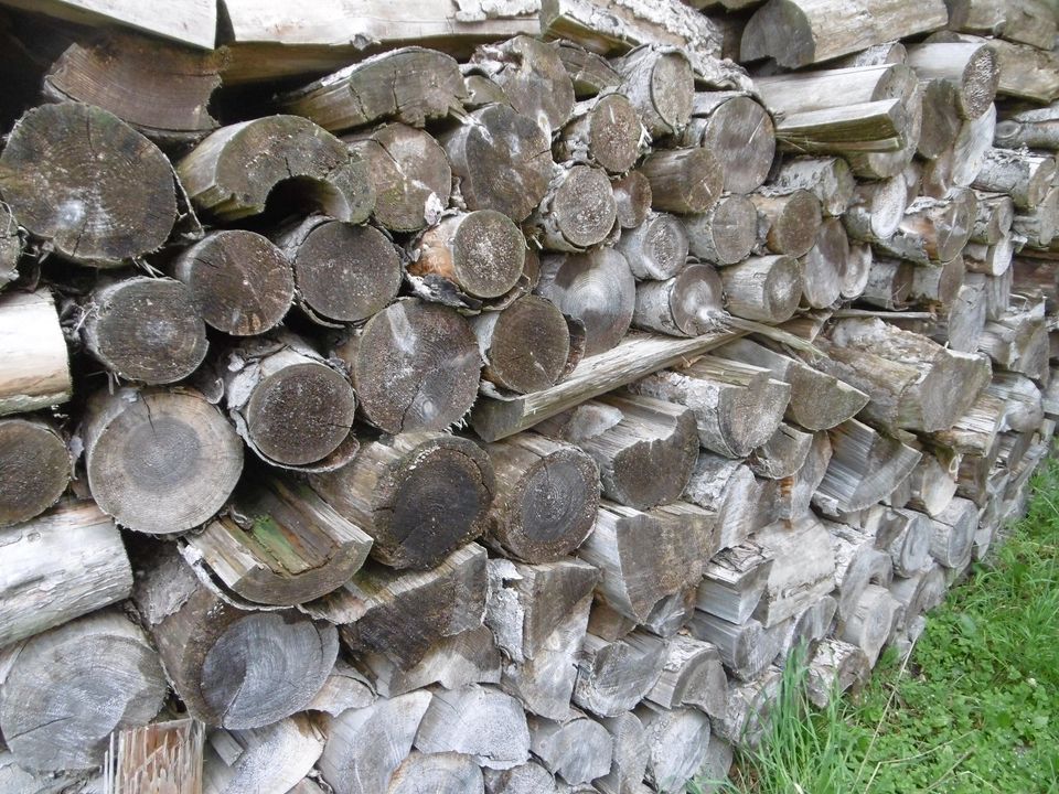 Brennholz verkauf in Stadtroda