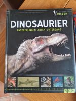 Dinosaurierbuch Saarland - Schwalbach Vorschau