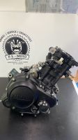 Yamaha MT 125 / YZF-R / Re 29 Austausch Motor mit Prüfstand Video Bayern - Vohburg an der Donau Vorschau