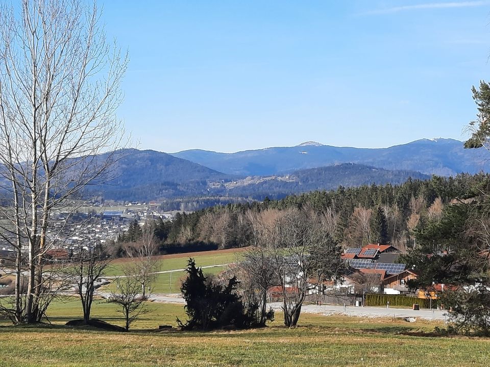 Ferienhaus - Urlaub, Wald, Ruhe, Familie, Hund, Bayern, Sauna in Kassel