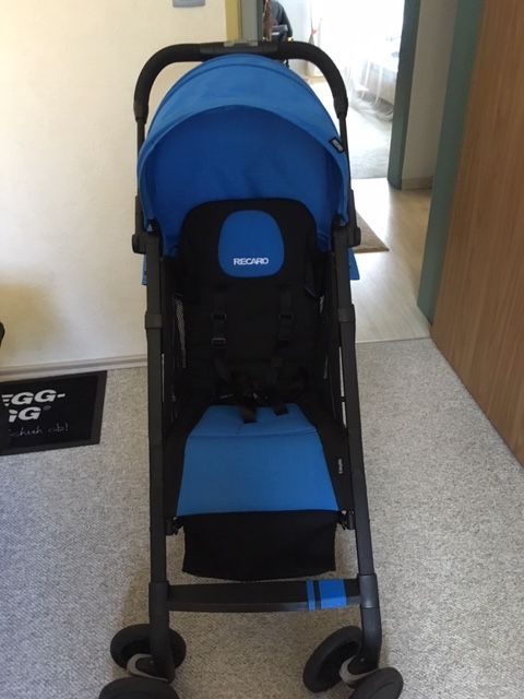 Reacaro Easylife Buggy mit vielen Extras,Super Zustand in Wendelstein