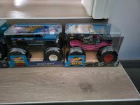 Camion Muertos / Big Foot / Monster Jam / Monster Truck / 1:24 Sachsen - Schkeuditz Vorschau