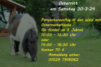 Osterritt, Ponyausflug Mecklenburg-Vorpommern - Lewitzrand Vorschau