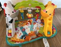 Fisher Price 3 in 1 Erlebnisdecke, Spielbogen CCB70 Nordrhein-Westfalen - Schloß Holte-Stukenbrock Vorschau