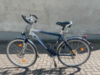 Herrenrad Citybike Bike Fahrrad 28 29 Zoll Citycruiser Cityrad Sachsen-Anhalt - Staßfurt Vorschau