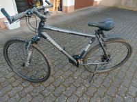 Winora Senegal Mountainbike 28 Zoll Herren Rheinland-Pfalz - Salmtal Vorschau