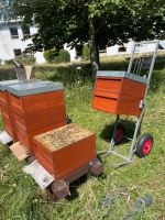 Bienenvölker und Ableger Carnica auf Zander und Deutsch Normal Nordrhein-Westfalen - Porta Westfalica Vorschau