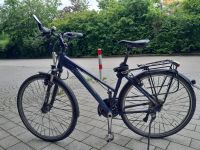 Hochwertiges Damenfahrrad München - Bogenhausen Vorschau