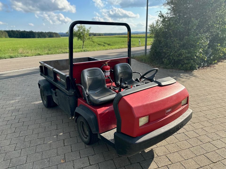 Toro Workman HDX-D 4WD Transportfahrzeug Gator in Weidenbach