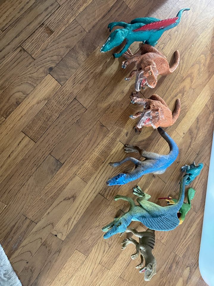 Schleich Figuren Dinosaurier in Frankfurt am Main