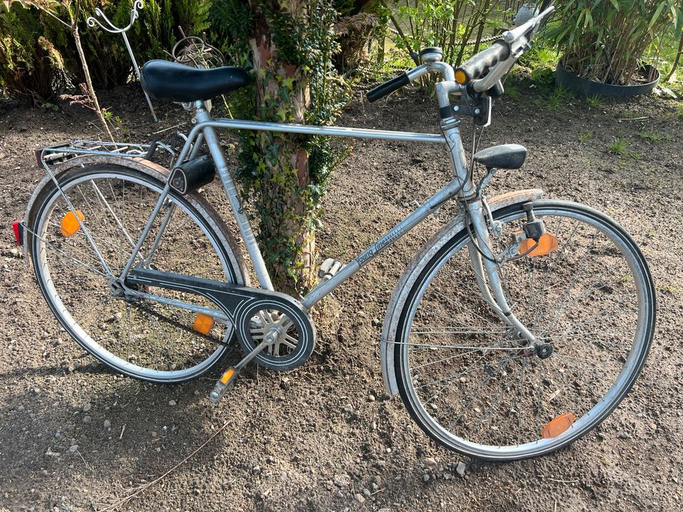 Retro Fahrrad 26 er Young Line Scheunenfund in Schleswig