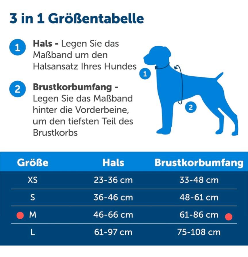 Anti Zug Geschirr, Sicherheitsgeschirr in Großkrotzenburg