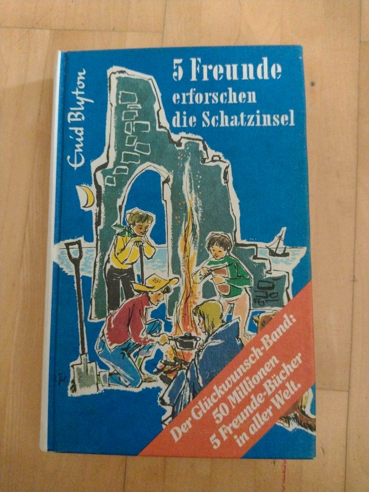 Fünf Freunde erforschen die schatzinsel in Ehingen (Donau)