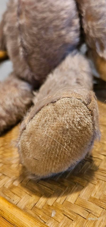 Teddy Antik mit Stroh gefüllt in Ottendorf-Okrilla