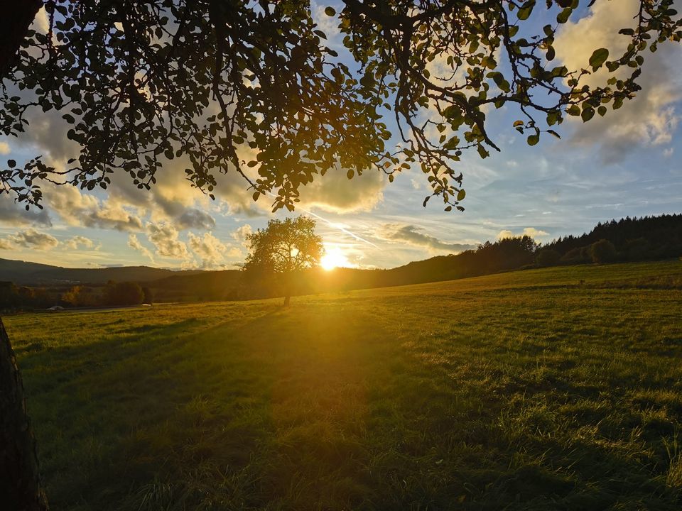 Schön gelegene Ferien-/Pendlerwohnung nahe Rothaarsteig mit guter in Haiger