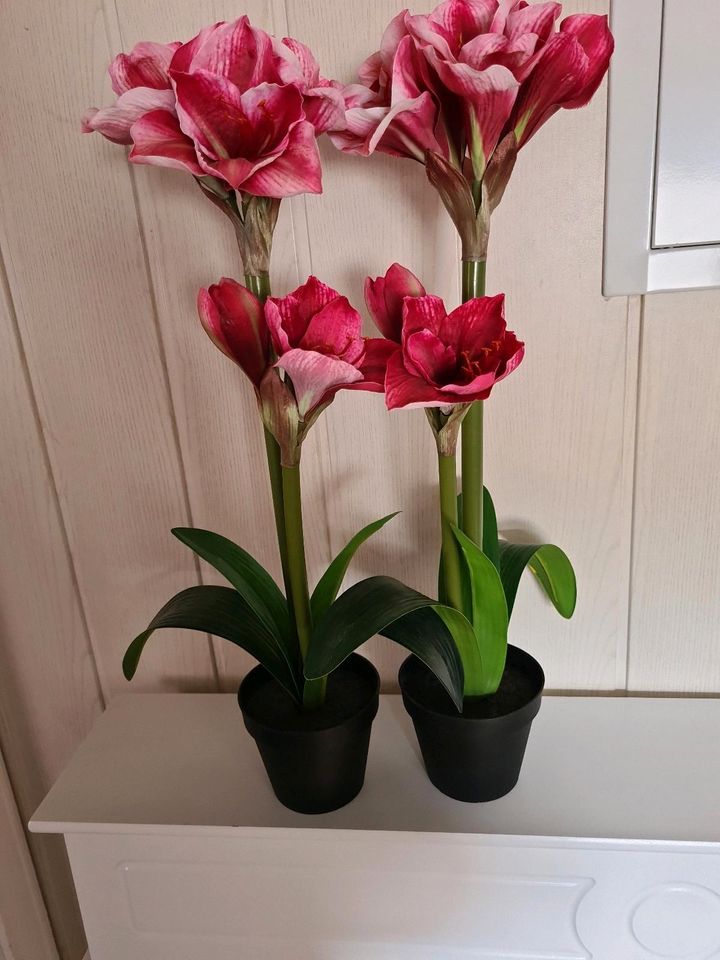 Zwei Kunstblumen  von  Ikea zu verkaufen in Braunschweig