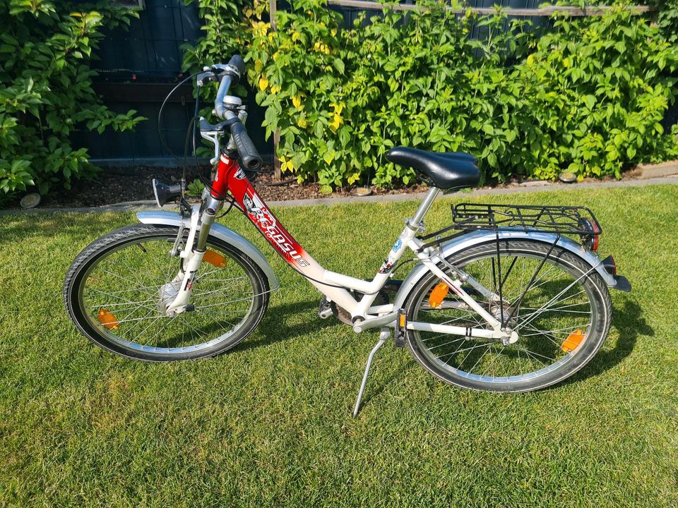 Fahrrad 24 Zoll Kinderfahrrad Pegasus rot/weiß in Waldsee