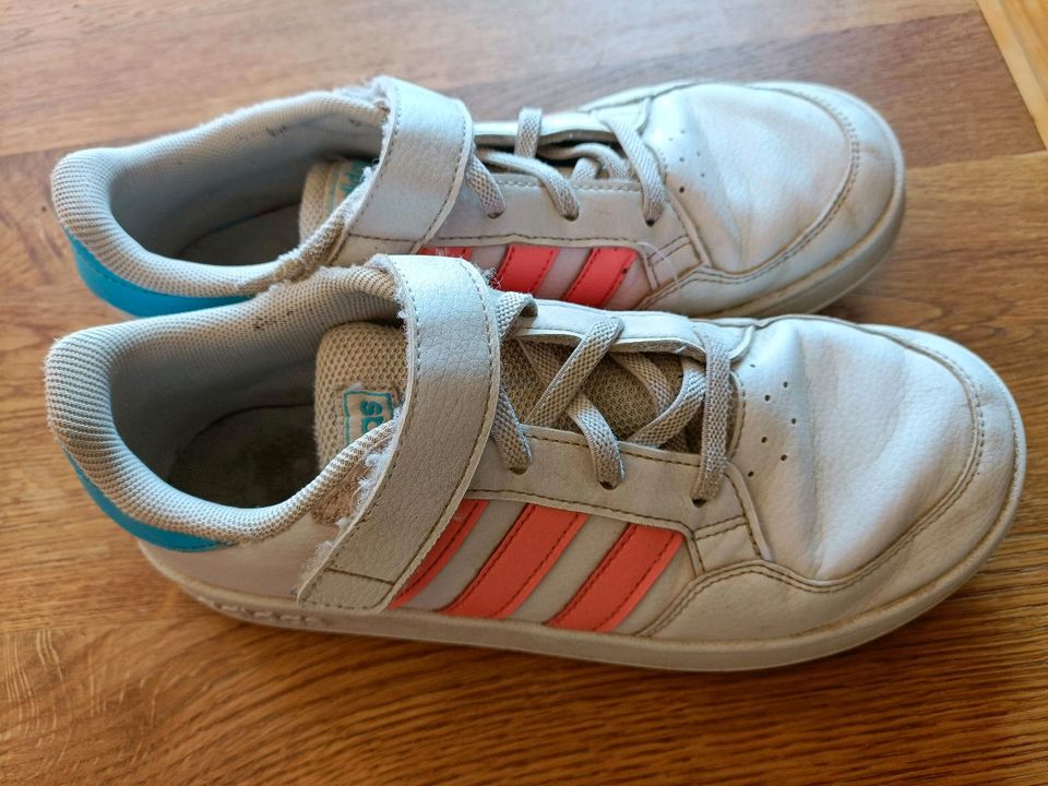 Mädchensneaker adidas Leder Größe 35 in Lindetal