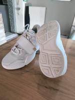 Herren Jordan Saarland - Friedrichsthal Vorschau