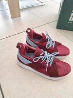 Puma Sportschuhe weinrot hellblau Bayern - Gaimersheim Vorschau